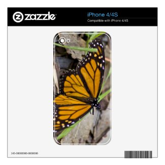 Monarch Butterfly Iphone 4s Skin