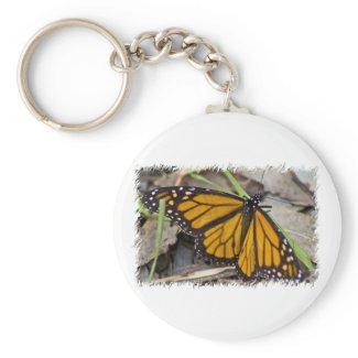 Monarch Butterfly Key Chains