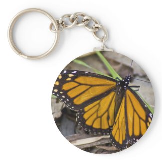 Monarch Butterfly Keychains