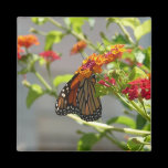 Monarch Butterfly Magnet