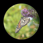 Monarch Butterfly Magnet