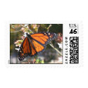 Monarch Butterfly - Medium postage by cmelhorn Monarch Butterfly - Medium postage