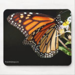 Monarch Butterfly Mouse pad