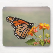 Monarch Butterfly Mouse Pad mousepads by shadyoakbutterfly Monarch Butterfly Mouse Pad mousepads