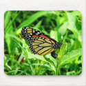 Monarch Butterfly Mousepad by thehatch Monarch Butterfly Mousepad