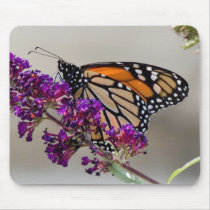 Monarch Butterfly mousepads