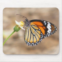 Monarch Butterfly mousepads