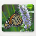 Monarch Butterfly mousepads