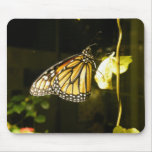 Monarch Butterfly Mouse Pads