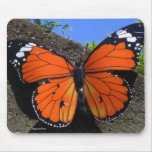 Monarch Butterfly Mousepad
