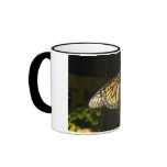 Monarch Butterfly Coffee Mug