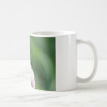 Monarch Butterfly - Mugs mugs