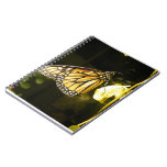 Monarch Butterfly Spiral Note Books