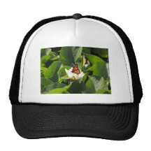 Monarch Butterfly on a Lily Pad Mesh Hat