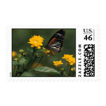 Monarch Butterfly on a Yellow Flower Postage