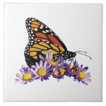 Monarch Butterfly on Asters Tiles