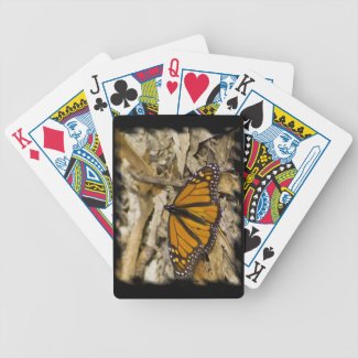 Monarch Butterfly on Ground Black edge Card Deck