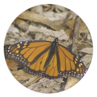Monarch Butterfly on Ground Party Plate