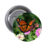 Monarch Butterfly on Lantana Flower Button