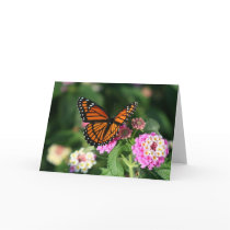 Monarch Butterfly on Lantana Flower Greeting Card