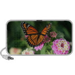samsung laptop netbook | monarch, butterfly, lantana, flower, doodle, monarch, butterfly, lantana, flower, doodle,
