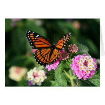 Monarch Butterfly on Lantana Flower Greeting Card