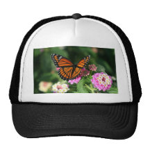 Monarch Butterfly on Lantana Flower Mesh Hats