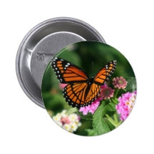 Monarch Butterfly on Lantana Flower Pins