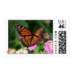 monarch, butterfly, lantana, flower, postage,
