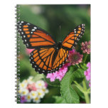 Asus Notebook G60 | monarch, butterfly, lantana, flowers.notebook monarch, butterfly, lantana, flowers.notebook