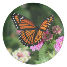 Monarch Butterfly on Lantana Flowers.Plate