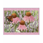 Monarch Butterfly on Purple Coneflowers Painting Tee Shirt