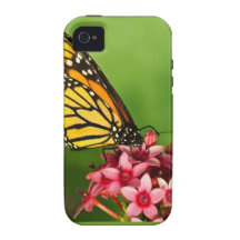 Monarch Butterfly on Red Flowers Photograph Case-Mate iPhone 4 Cases