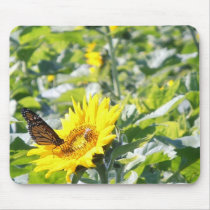 Monarch butterfly on sunflower mousepad