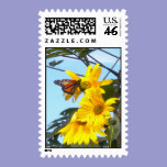Monarch Butterfly on Sunflower Postage postage
