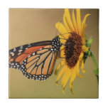 Monarch Butterfly on Sunflower Tiles