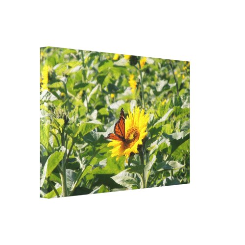 Monarch butterfly on sunflower wrapped canvas wrappedcanvas