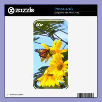 Monarch Butterfly On Sunflowers iPhone 4  Skin skins