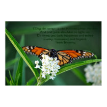 Monarch butterfly on white milkweed flower posters
