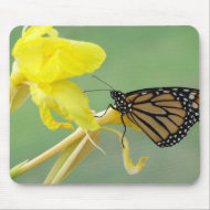Monarch butterfly on yellow flower simple back mousepad