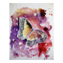 monarch_butterfly_painting posters by dereklovessheila monarch_butterfly_painting posters