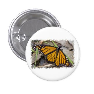 Monarch Butterfly Pins