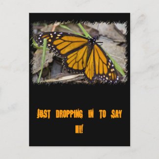 Monarch Butterfly Post Card