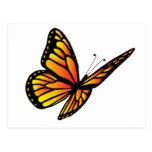 Monarch butterfly post card