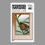 Monarch Butterfly Postage stamps