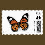 Monarch Butterfly