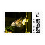 Monarch Butterfly Postage Stamps