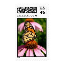 Monarch Butterfly Postage Stamp by NastySharkDesigns Monarch Butterfly Postage Stamp