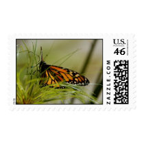 Monarch Butterfly Postage Stamp by pulsDesign Monarch Butterfly Postage Stamp