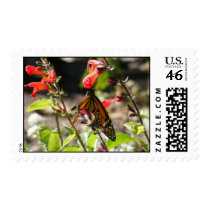 Monarch Butterfly Postage Stamps